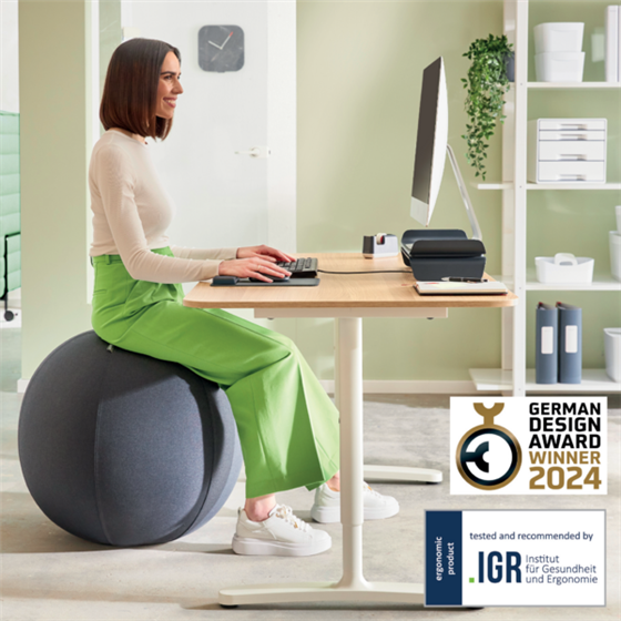 Balón De Asiento Antideslizante Leitz Ergo Active 75Cm Gris Oscuro