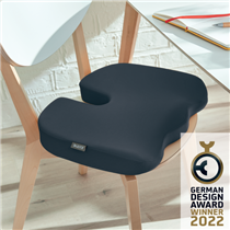 Cojín De Asiento Leitz Ergo Cosy Gris Terciopelo