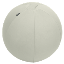 Balón De Asiento Antideslizante Leitz Ergo Active 55Cm Gris