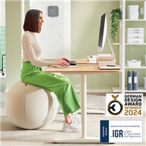 Balón De Asiento Antideslizante Leitz Ergo Active 55Cm Gris
