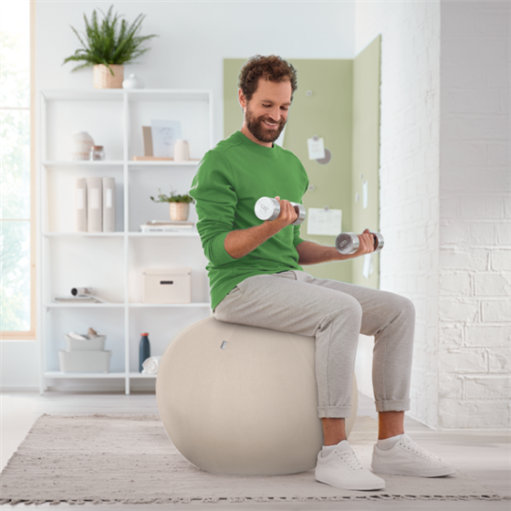 Balón De Asiento Antideslizante Leitz Ergo Active 55Cm Gris