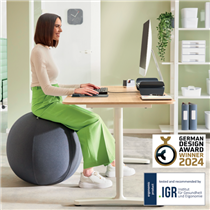 Balón De Asiento Antideslizante Leitz Ergo Active 65Cm Gris Oscuro