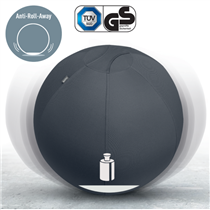 Balón De Asiento Antideslizante Leitz Ergo Active 65Cm Gris Oscuro