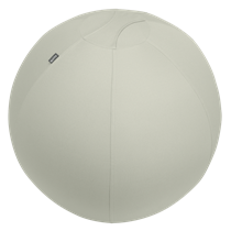 Balón De Asiento Antideslizante Leitz Ergo Active 75Cm Gris