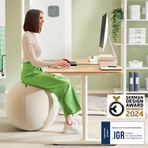 Balón De Asiento Antideslizante Leitz Ergo Active 75Cm Gris