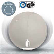 Balón De Asiento Antideslizante Leitz Ergo Active 75Cm Gris