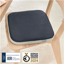 Cojín Wobble Active Leitz Ergo Con Funda De Tela Gris Oscuro
