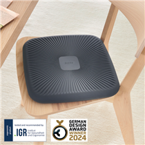 Cojín Wobble Active Leitz Ergo Gris Oscuro