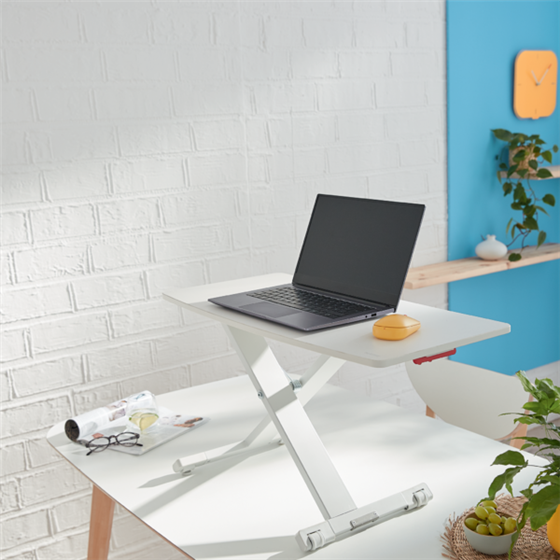 Convertidor De Escritorio Leitz Ergo Cosy Gris