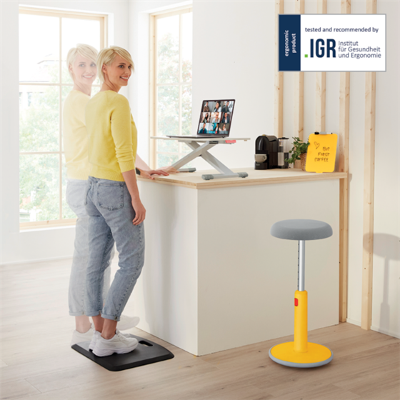 Convertidor De Escritorio Leitz Ergo Cosy Gris