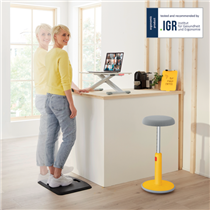 Convertidor De Escritorio Leitz Ergo Cosy Gris