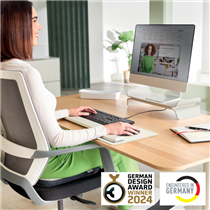 Soporte De Monitor Ajustable Leitz Ergo Gris
