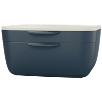 Buc de cajones Leitz Cosy Gris terciopelo 2 Cajones