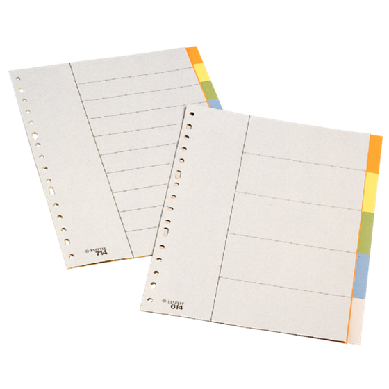 Separadores De Plástico  10 Pestañas En Blanco Folio