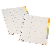 Separadores De Plástico  10 Pestañas En Blanco Folio