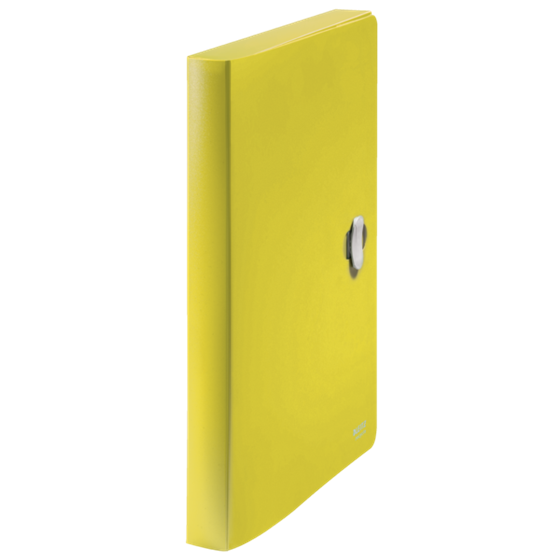 Carpeta De Proyectos Leitz Recycle, Co2 Compensado Amarillo A4