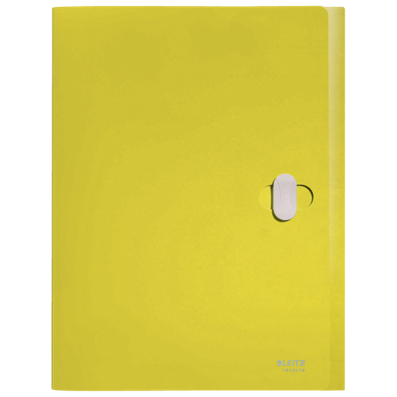 Carpeta De Proyectos Leitz Recycle, Co2 Compensado Amarillo A4
