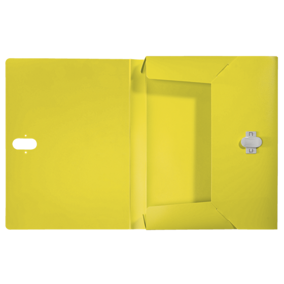 Carpeta De Proyectos Leitz Recycle, Co2 Compensado Amarillo A4