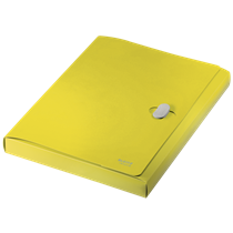 Carpeta De Proyectos Leitz Recycle, Co2 Compensado Amarillo A4