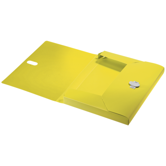 Carpeta De Proyectos Leitz Recycle, Co2 Compensado Amarillo A4