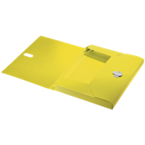 Carpeta De Proyectos Leitz Recycle, Co2 Compensado Amarillo A4