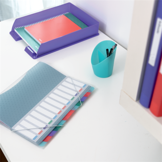 Clasificador Con 6 Pestañas Esselte Colour'Breeze Multicolor A4