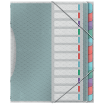 Clasificador Con 12 Pestañas Esselte Colour'Breeze Multicolor A4