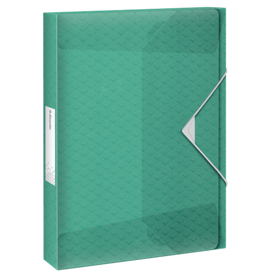 Carpeta De Proyectos Con Capacidad Extra Esselte Colour'Breeze Verde A4