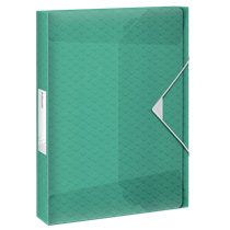 Carpeta De Proyectos Con Capacidad Extra Esselte Colour'Breeze Verde A4