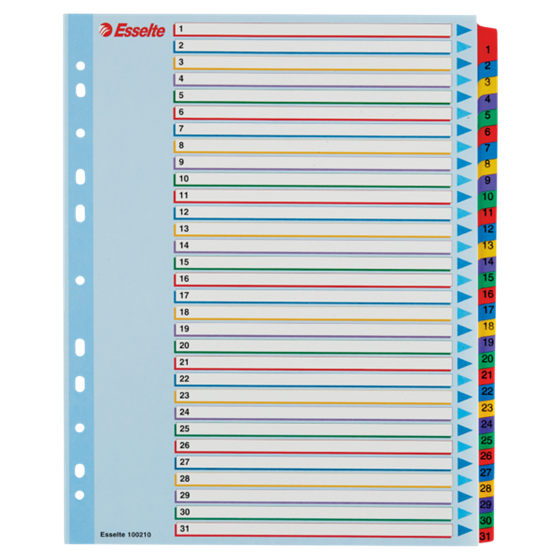Índices Proyectos Borra Y Reescribe Multicolor 1-31 A4 Maxi