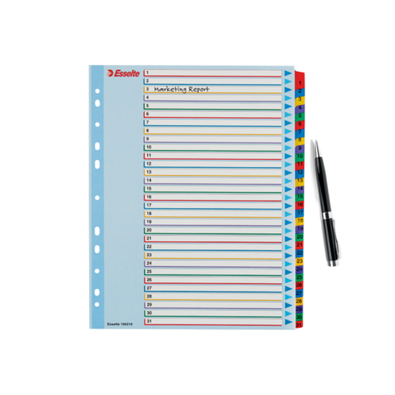 Índices Proyectos Borra Y Reescribe Multicolor 1-31 A4 Maxi