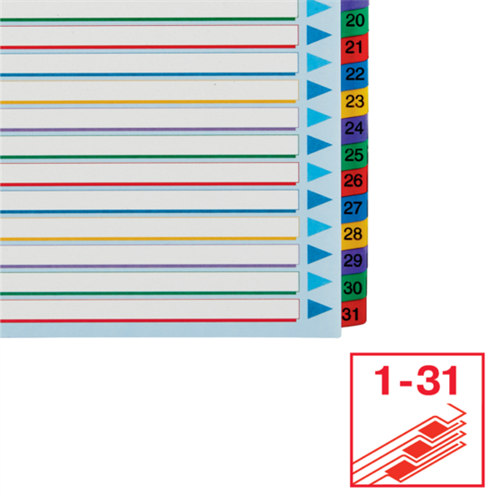 Índices Proyectos Borra Y Reescribe Multicolor 1-31 A4 Maxi
