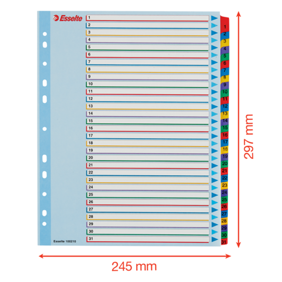 Índices Proyectos Borra Y Reescribe Multicolor 1-31 A4 Maxi