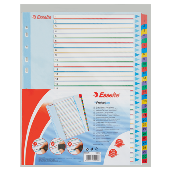 Índices Proyectos Borra Y Reescribe Multicolor 1-31 A4 Maxi