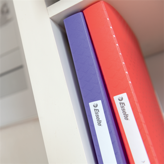 Carpeta Con 40 Fundas Esselte Colour'Breeze Coral A4