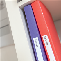 Carpeta Con 40 Fundas Esselte Colour'Breeze Coral A4