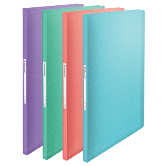 Carpeta Con 60 Fundas Esselte Colour'Breeze Surtidos A4