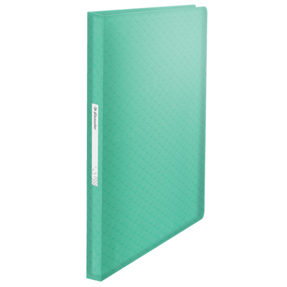 Carpeta Con 80 Fundas Esselte Colour'Breeze Verde A4