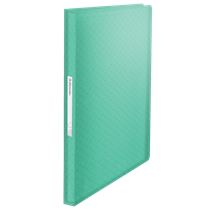 Carpeta Con 80 Fundas Esselte Colour'Breeze Verde A4