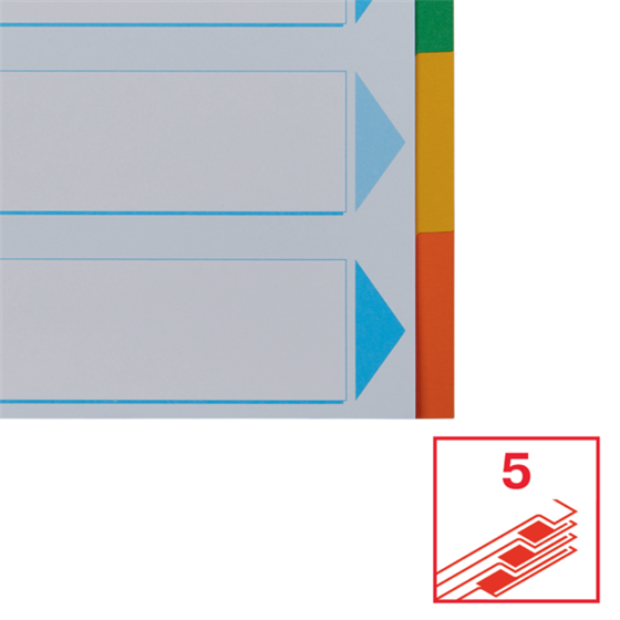 Separadores Cartón Multicolor 5 Pestañas En Blanco A4
