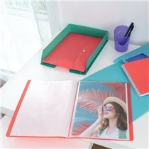Carpeta Acordeón Esselte Colour'Breeze Verde A4