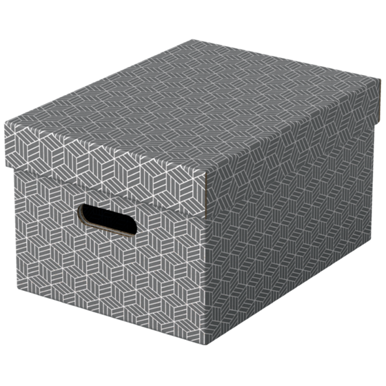 Caja De Almacenamiento Para El Hogar Esselte Mediana, Paquete De 3 Gris