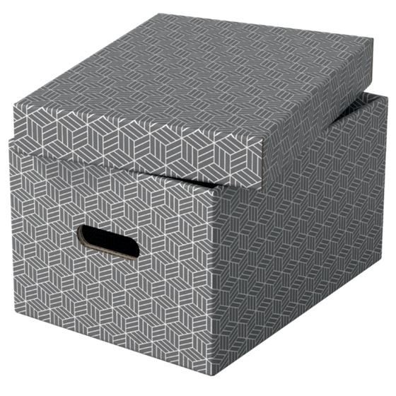 Caja De Almacenamiento Para El Hogar Esselte Mediana, Paquete De 3 Gris