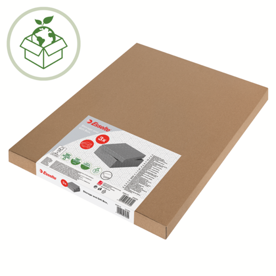 Caja De Almacenamiento Para El Hogar Esselte Mediana, Paquete De 3 Gris