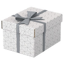 Caja Pequeña De Almacenamiento Y Regalo Esselte Para El Hogar, Paquete De 3 Blanco