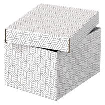 Caja Pequeña De Almacenamiento Y Regalo Esselte Para El Hogar, Paquete De 3 Blanco