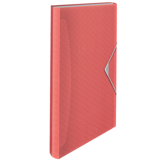 Carpeta Acordeón Esselte Colour'Breeze Coral A4