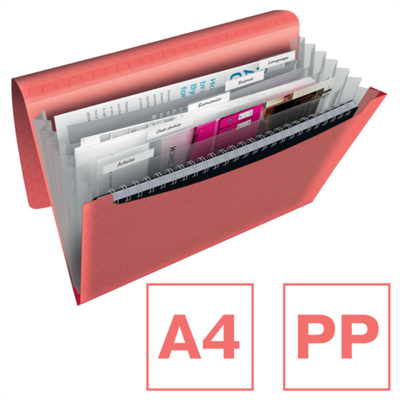 Carpeta Acordeón Esselte Colour'Breeze Coral A4