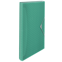 Carpeta Acordeón Esselte Colour'Breeze Verde A4
