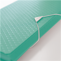 Carpeta Acordeón Esselte Colour'Breeze Verde A4